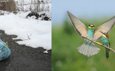 Chiarissima | “RIFIUTIamoci” e GIUILO BARBIERI – mostra fotografica