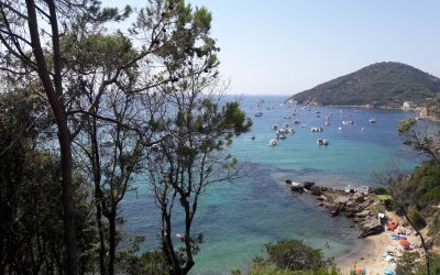 Chiarissima | Vivere senza lavorare – presentazione del libro di Andrea Bizzocchi