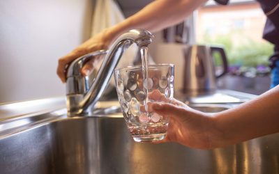 L’Essere Umano è un Progetto Alcalino – incontro con Salvatore Solarino
