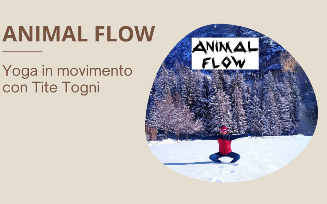 Animal Flow: yoga in movimento per mente e corpo