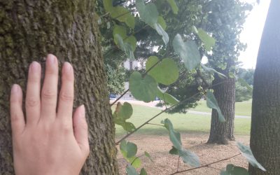 Naturetherapy nel parco con Orietta Festa