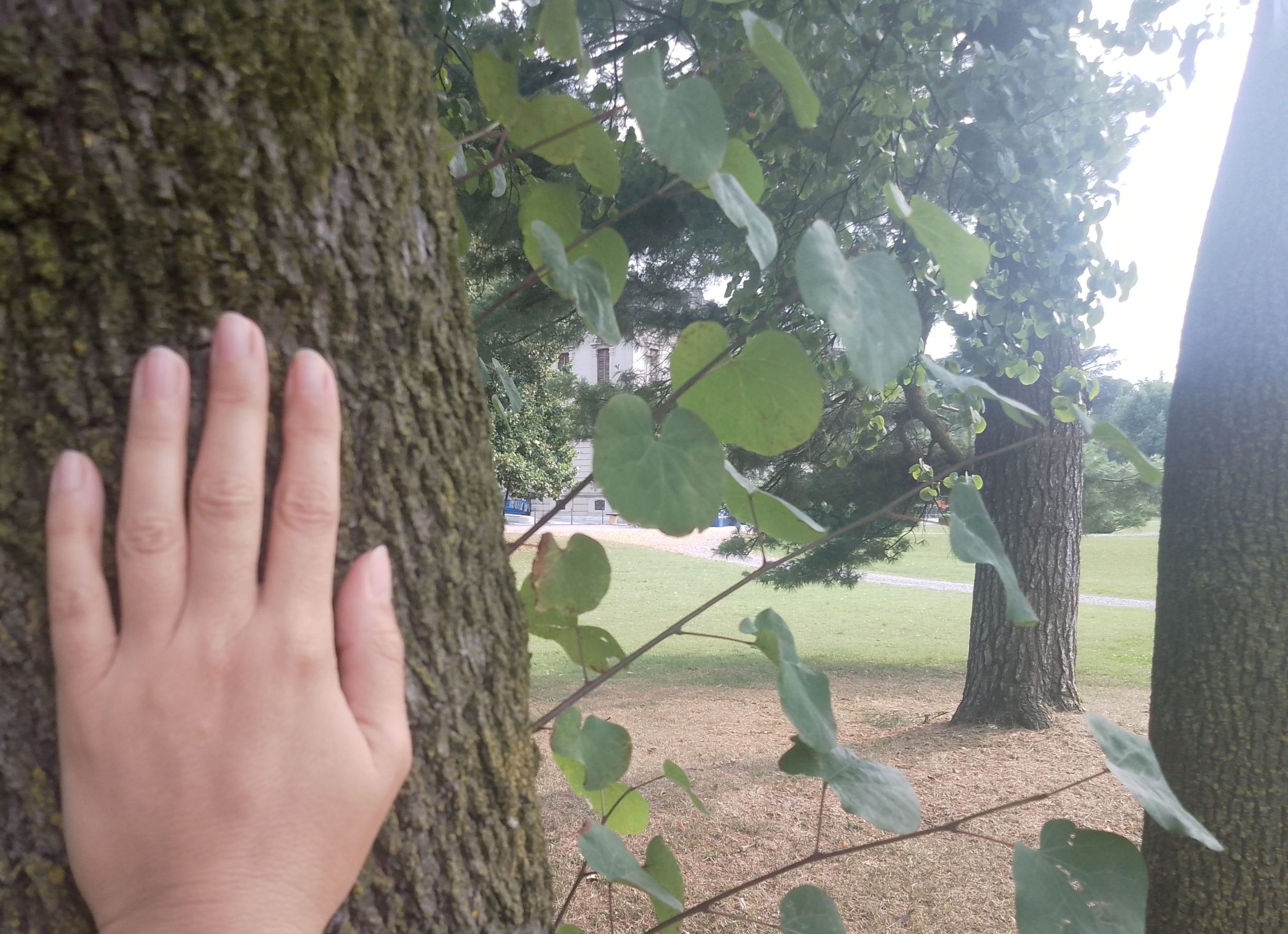 Naturetherapy nel parco con Orietta Festa
