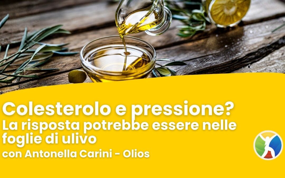 Colesterolo e pressione? La risposta potrebbe essere nelle foglie di ulivo