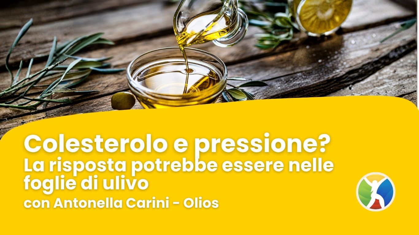 Colesterolo e pressione? La risposta potrebbe essere nelle foglie di ulivo