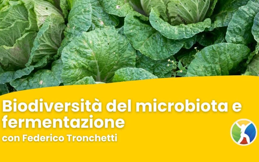 Biodiversità del microbiota e fermentazione