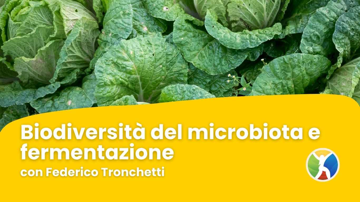 Biodiversità del microbiota e fermentazione